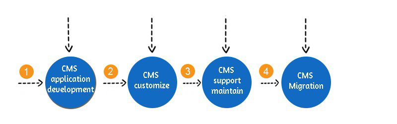 CMS Development Process